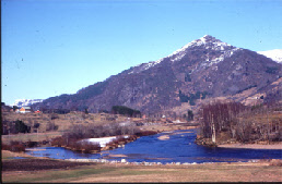 wp7a993af2_0f.jpg